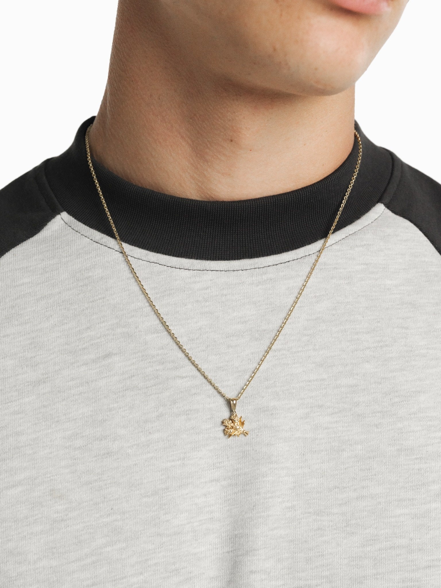 RAGLAN SS T-SHIRT - ARCTYC/GRANITE - Image 5